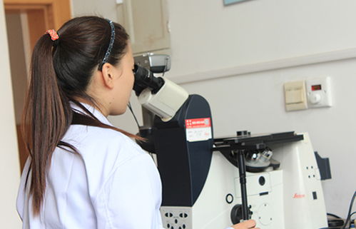 研究開(kāi)發(fā)與技術(shù)咨詢 協(xié)同驅(qū)動(dòng)創(chuàng)新與商業(yè)價(jià)值