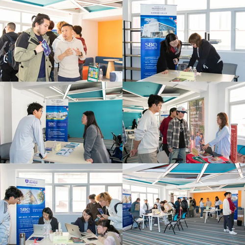 上海理工大學中英國際學院舉辦2025年度英國合作大學秋季咨詢會 聚焦信息技術咨詢服務，規劃未來留學之路