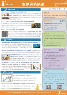 長煦信息技術咨詢 賦能企業數字化轉型的智能引擎